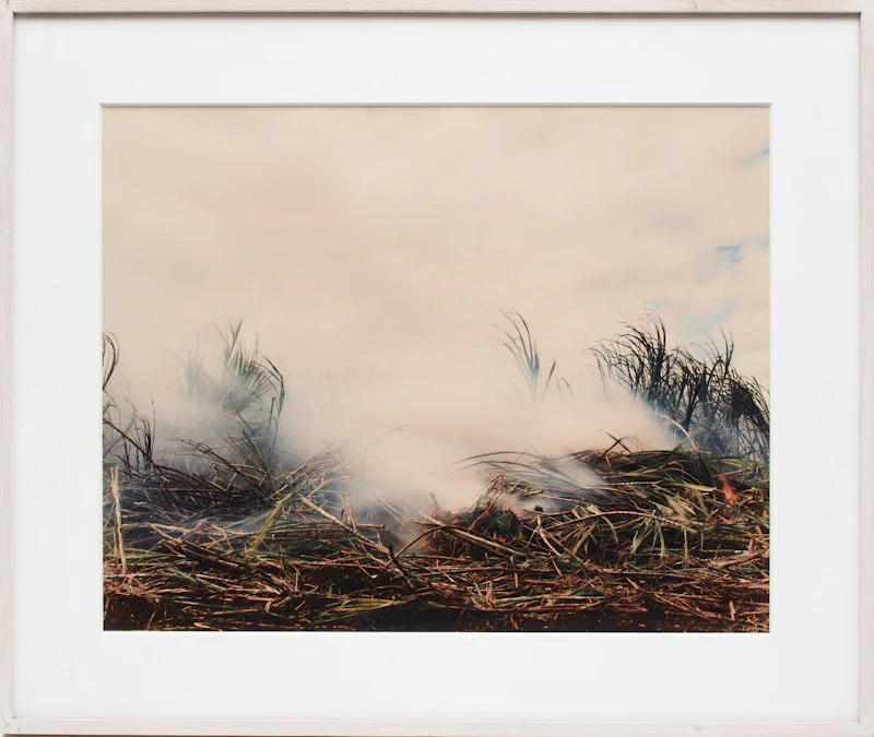 Virginia Beahan and Laura McPhee, Sugar Cane Burning Before Harvest, c-print - view 2