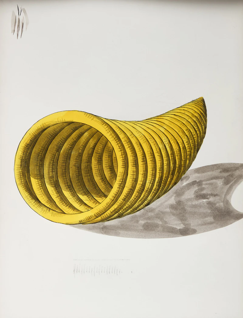 Peter Schuyff, Untitled (12 & 17), Two gouache on paper works, 1998 - view 2