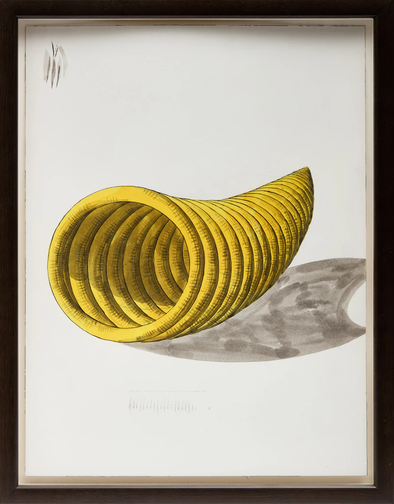 Peter Schuyff, Untitled (12 & 17), Two gouache on paper works, 1998 - view 5