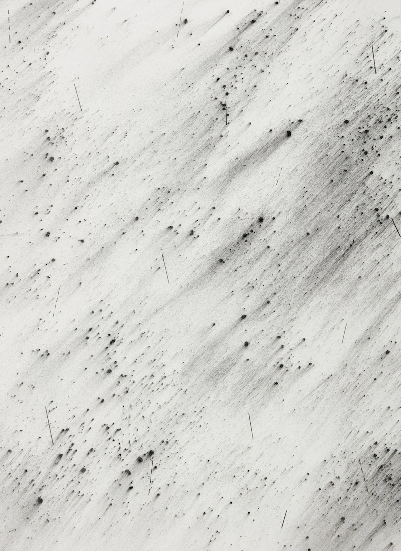 Akira Yoshikawa, Adashino #4, graphite powder and pencil on paper, 1998 - view 1