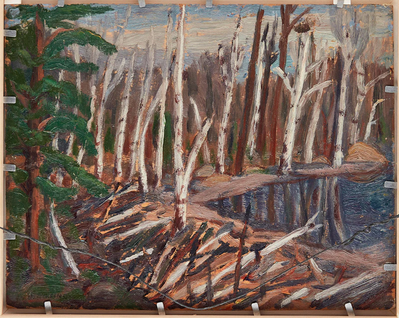 Frederick Grant Banting, Houses on a Lake, double-sided oil on board - view 4