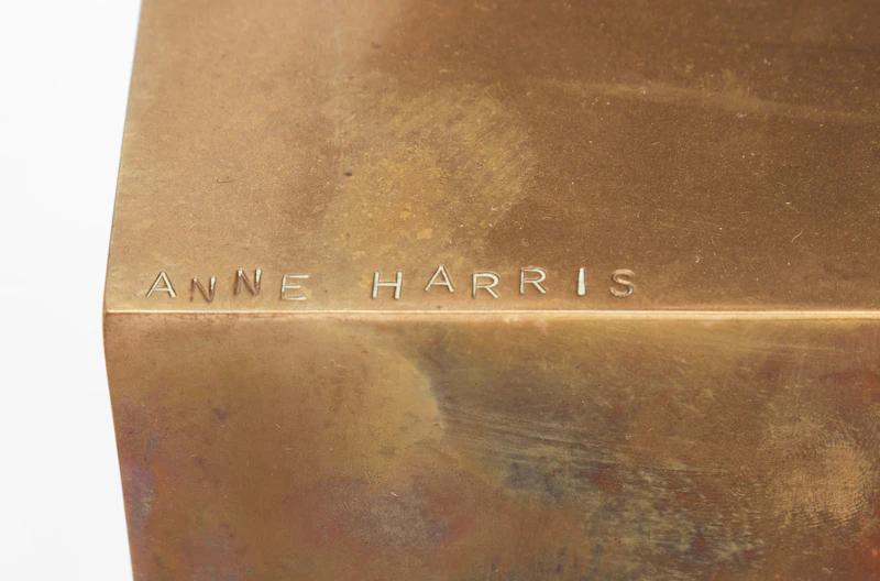 Anne Harris, Overture, 1983, polished bronze - view 3