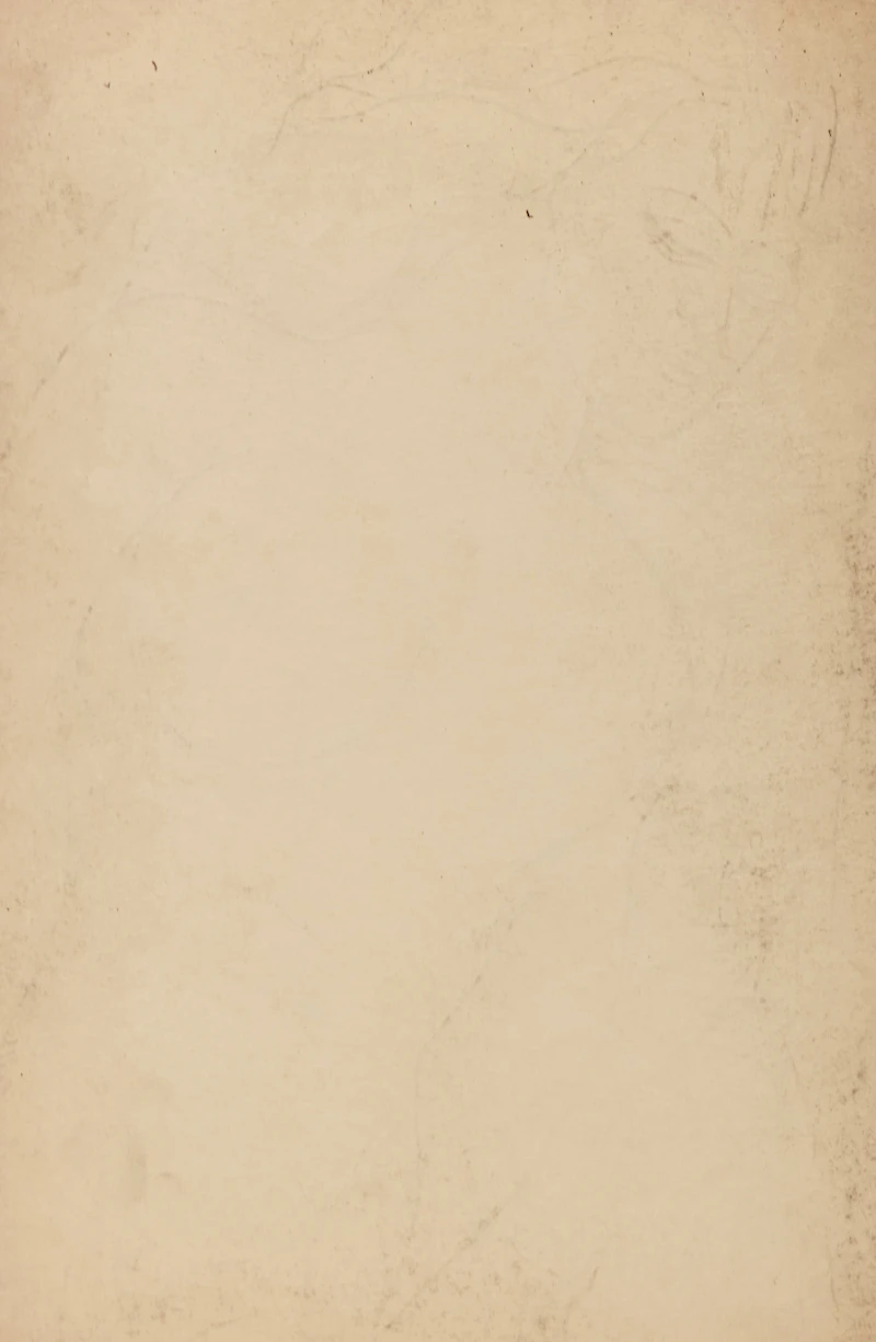 Francis Newton Souza, Reclining Nude, graphite - view 2