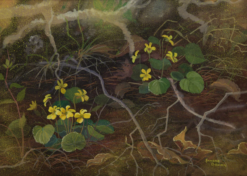 Annora Brown, Floral Still Life, watercolour on paper - view 1