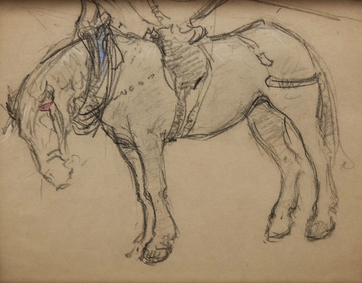 Manly Edward MacDonald, Study of a Horse, charcoal on paper