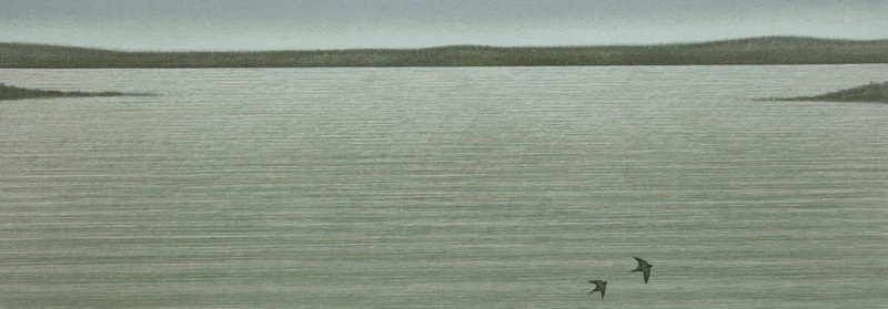 Jeremy Smith, Narrows, Lake Vernon; Snowstorm; Woman and Dog, three colour serigraphs - view 4