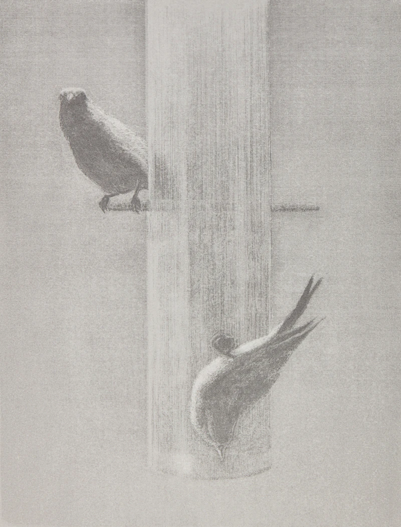 Jeremy Smith, Finches; Morning, Lake Joseph; Lobby, three serigraphs - view 1