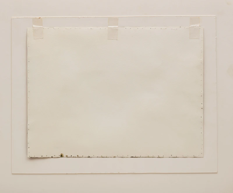 Alice Cowan, Field Still Life, watercolour on paper, 1982 - view 3