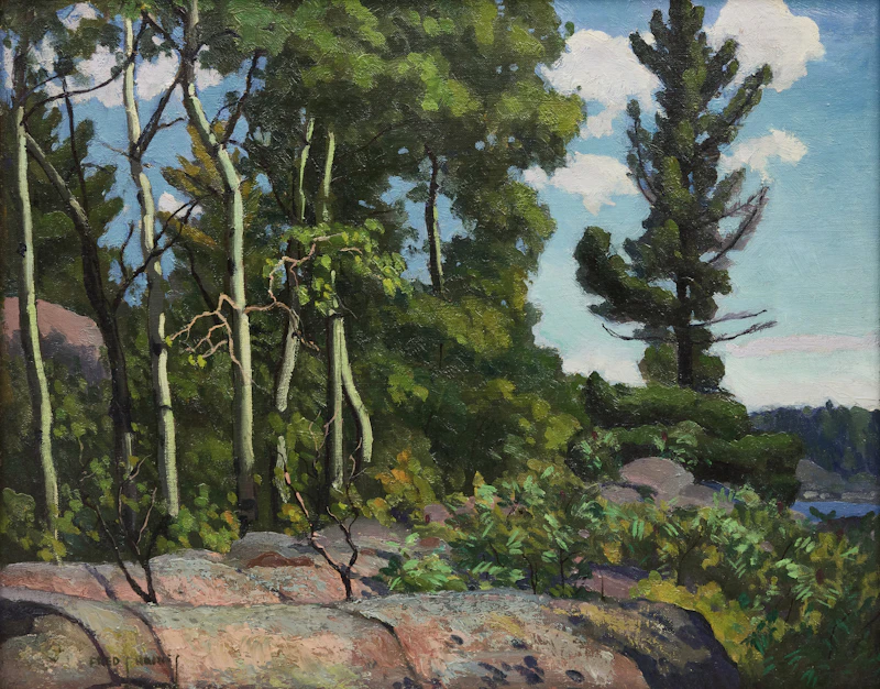 Back of Pig Island by Frederick Stanley Haines