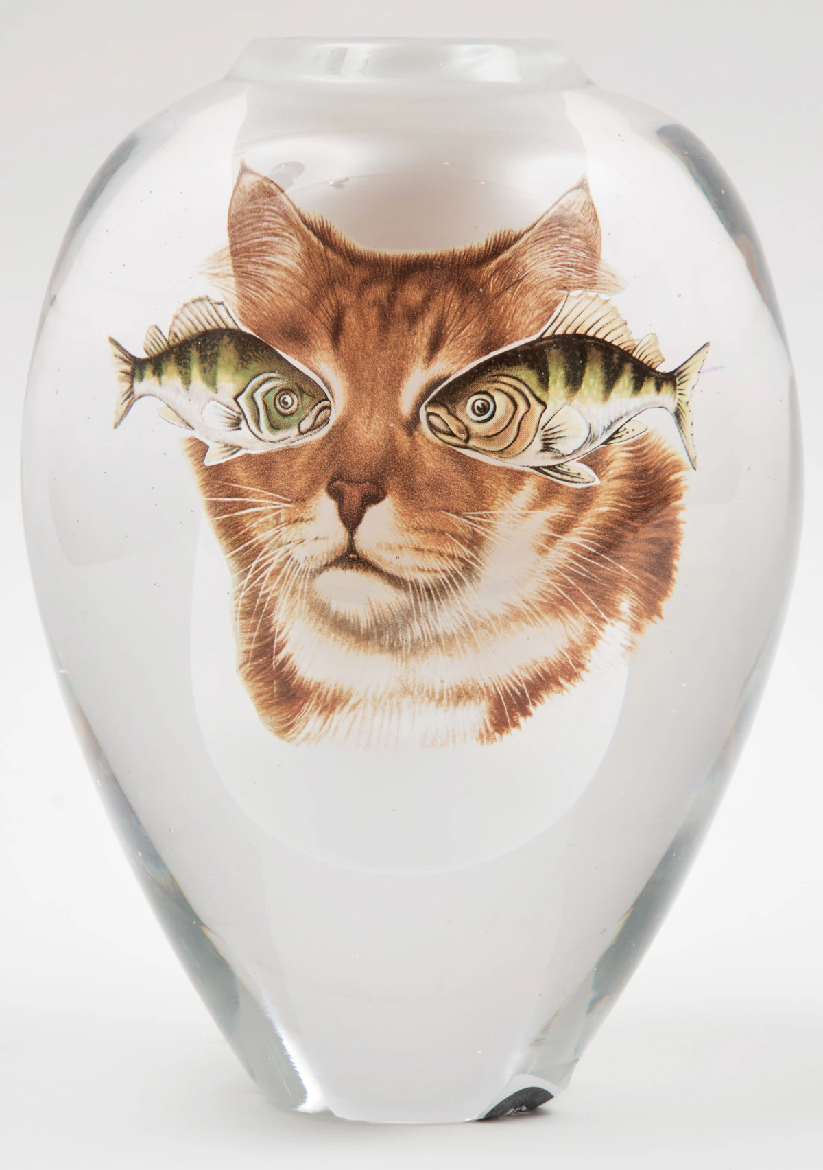 Toan Klein, Untitled (Cat with Fish Eyes), coloured glass