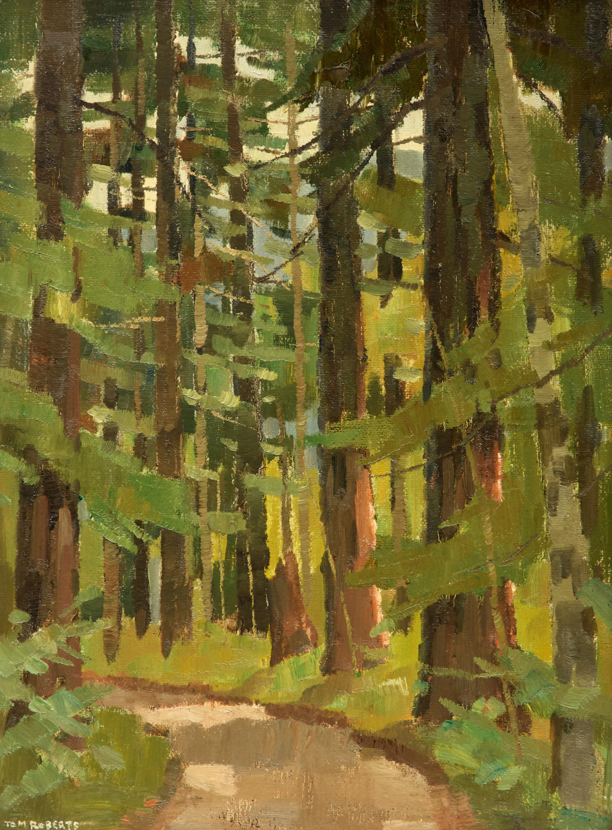 Thomas Keith Roberts, British Columbia Forest - Vancouver Island, oil on board