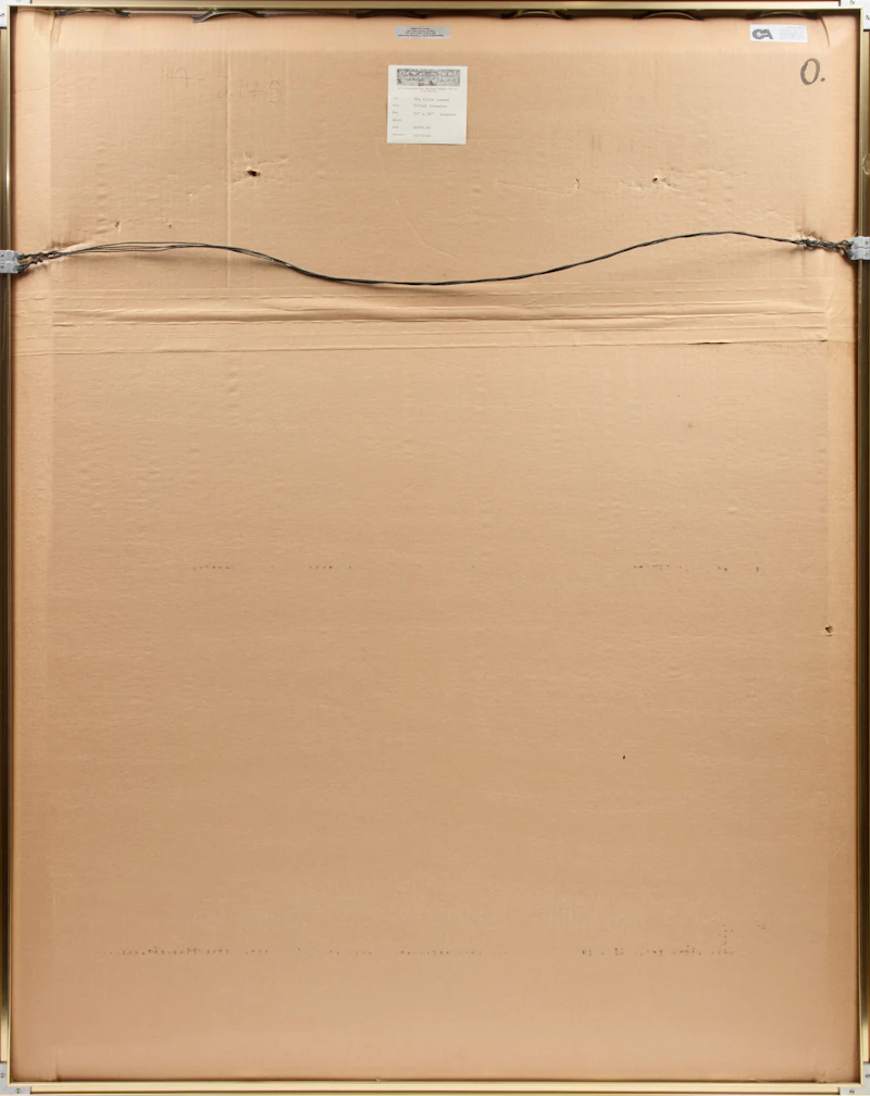 Toller Cranston, The Fool's Lament, fine tip marker and gouache, 1984 - view 3