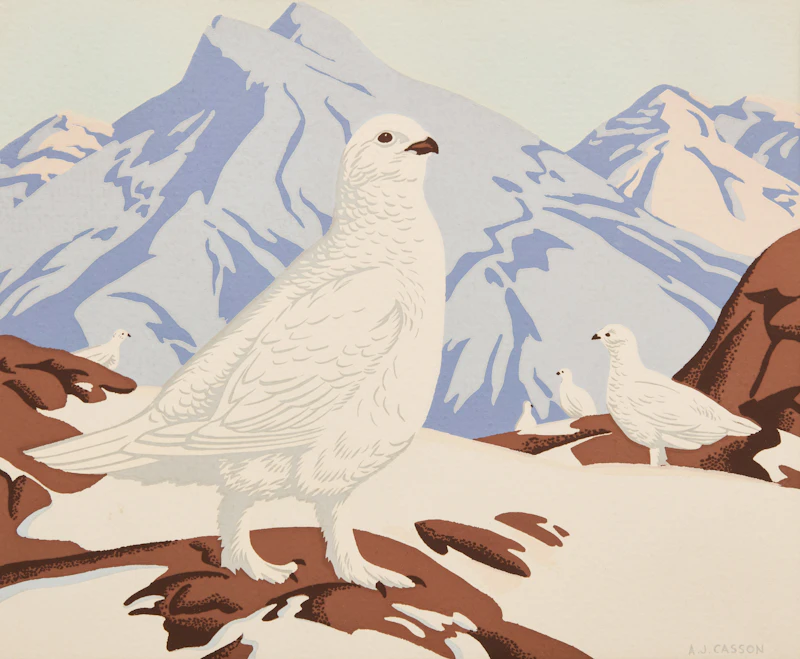 White-Tailed Ptarmigan (Lagopus Leucurus) by Alfred Joseph Casson