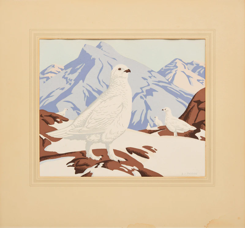 Alfred Joseph Casson, White-Tailed Ptarmigan (Lagopus Leucurus), Sampson Matthews silkscreen - view 2