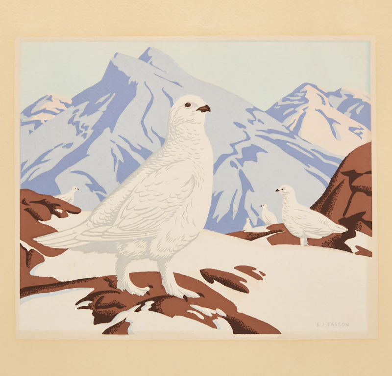 Alfred Joseph Casson, White-Tailed Ptarmigan (Lagopus Leucurus), Sampson Matthews silkscreen - view 3