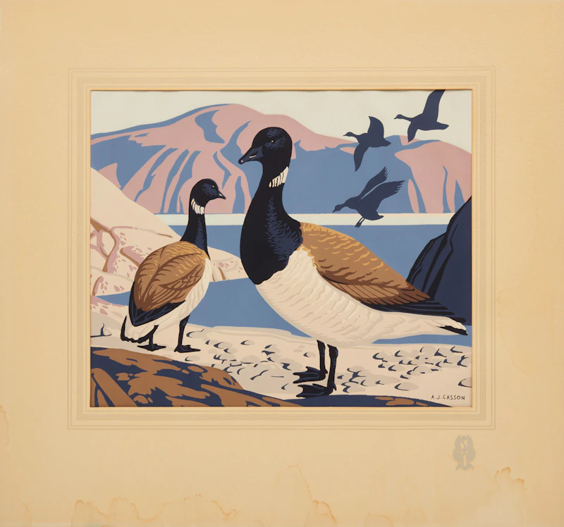 Alfred Joseph Casson, Brant (Branta Bernicla Glaucogastra), Sampson Matthews silkscreen - view 2