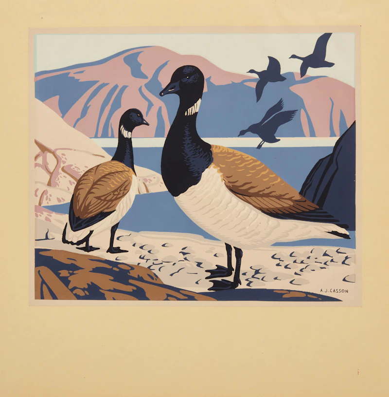Alfred Joseph Casson, Brant (Branta Bernicla Glaucogastra), Sampson Matthews silkscreen - view 3