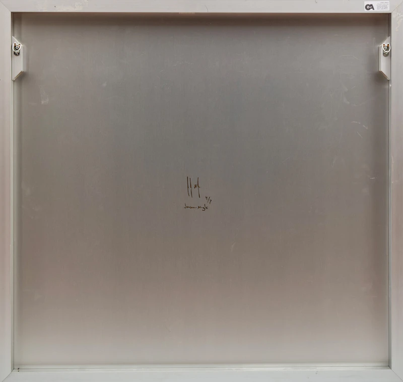 Joshua Jensen-Nagle, Quiet Days, archival inkjet print face-mounted to plexiglass, back-mounted to aluminum subframe - view 2