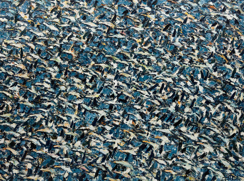 À vol d'oiseaux les oies by Raynald Leclerc