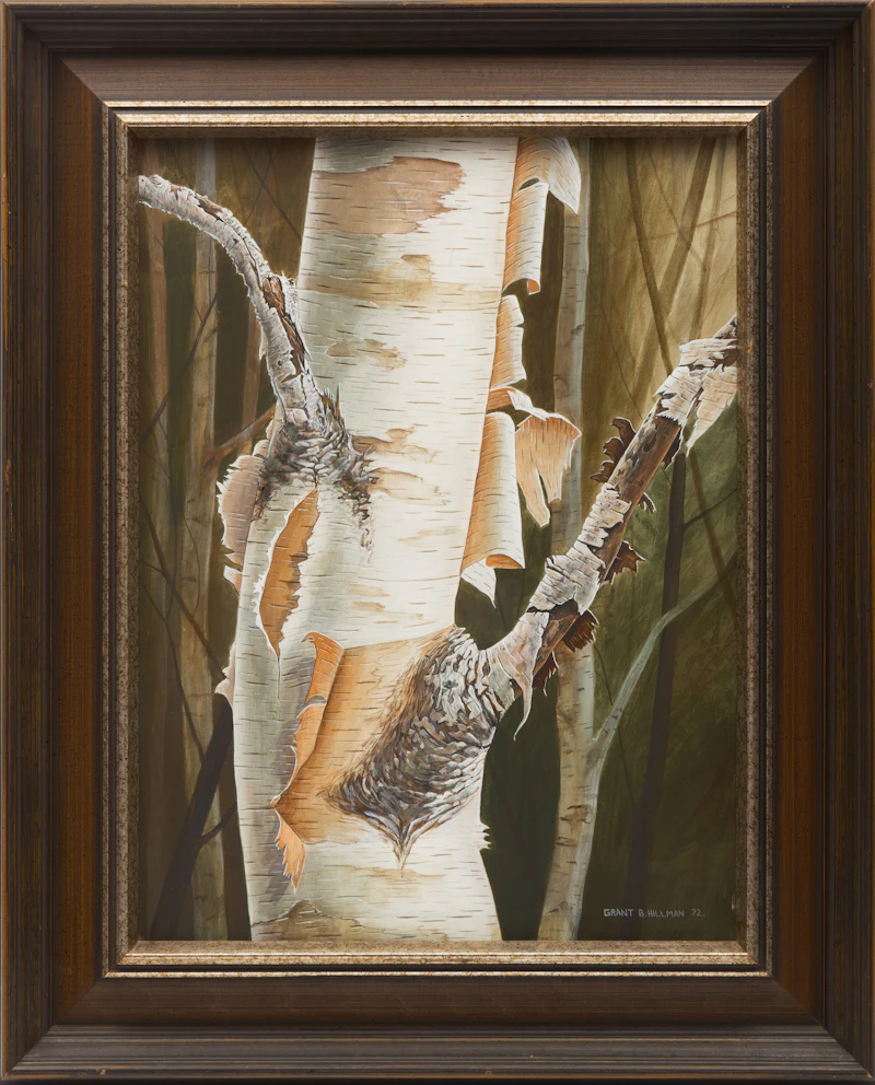 Grant Hillman, The Silver Birch No. 15, acrylic on board, 1972 - view 2