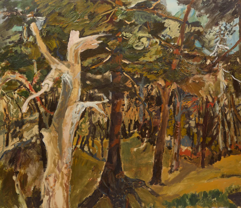 Untitled (Forest Interior) by David T. Alexander