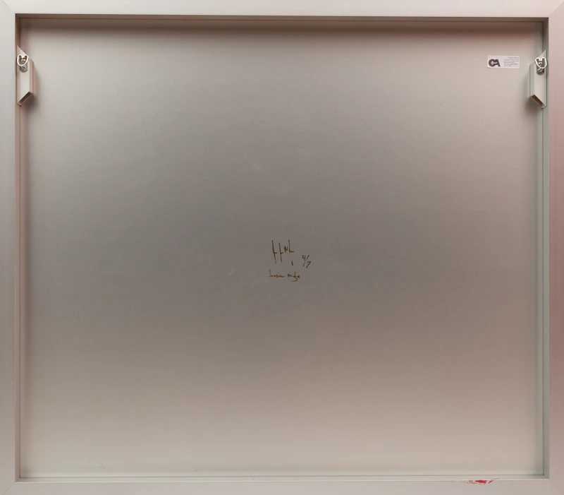 Joshua Jensen-Nagle, Wishing It Was This Simple, archival inkjet print face-mounted to plexiglass, back-mounted to aluminum subframe, 2015 - view 2