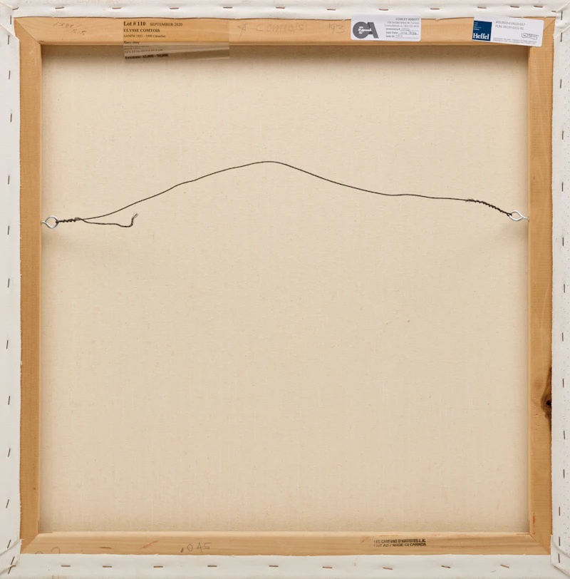 Ulysse Comtois, Sans titre, acrylic on canvas, 1993 - view 2