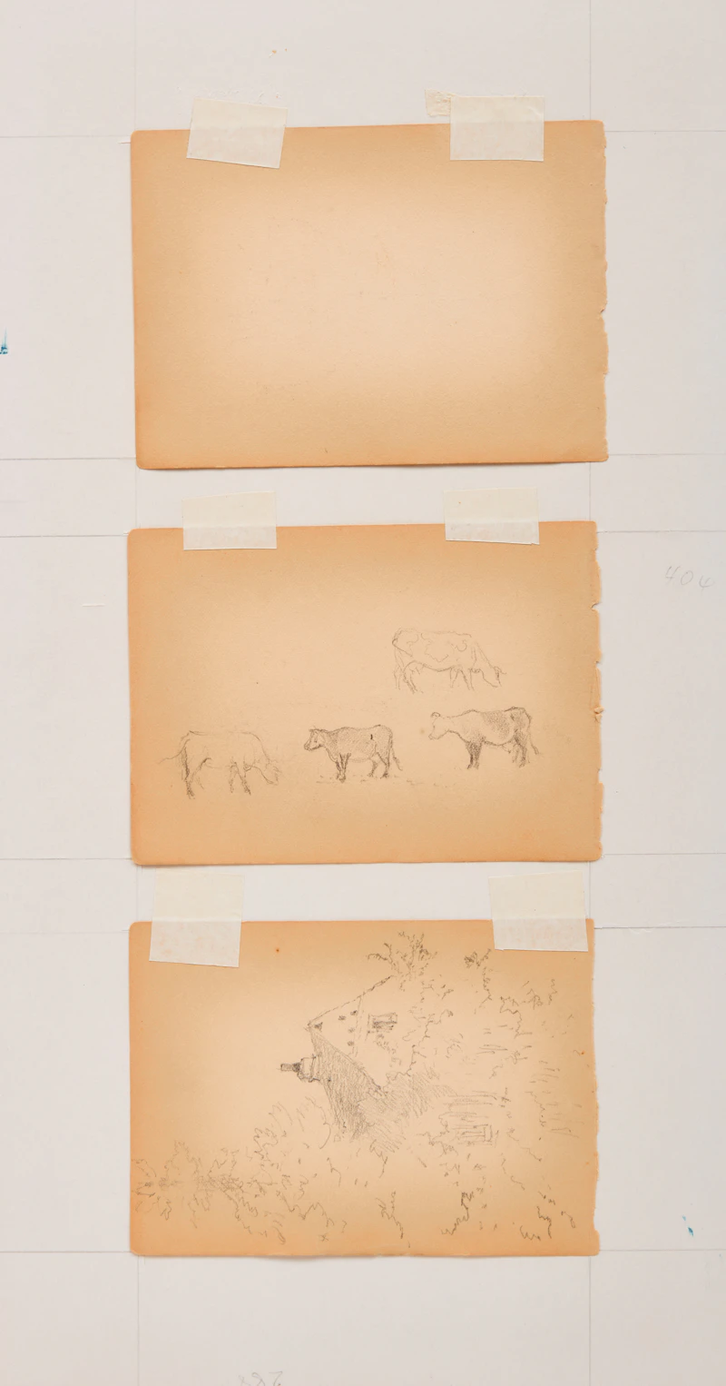 Frances Anne Hopkins, Collection of Drawings, 1889-1906 - view 10
