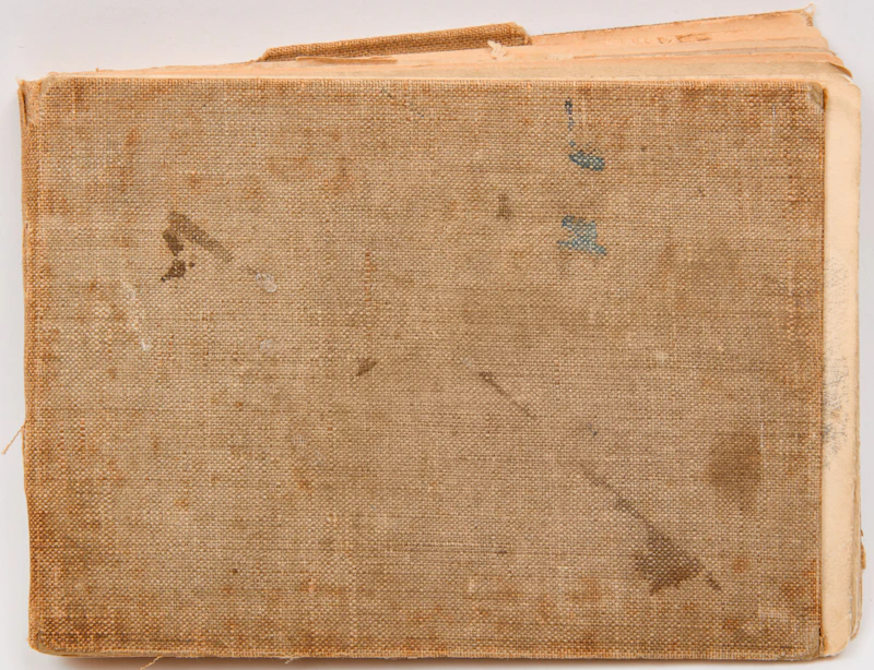 Frances Anne Hopkins, Collection of Drawings, 1889-1906 - view 11