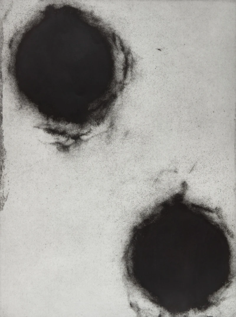 Donald Sultan, Pomegranates, three etchings with aquatint - view 4