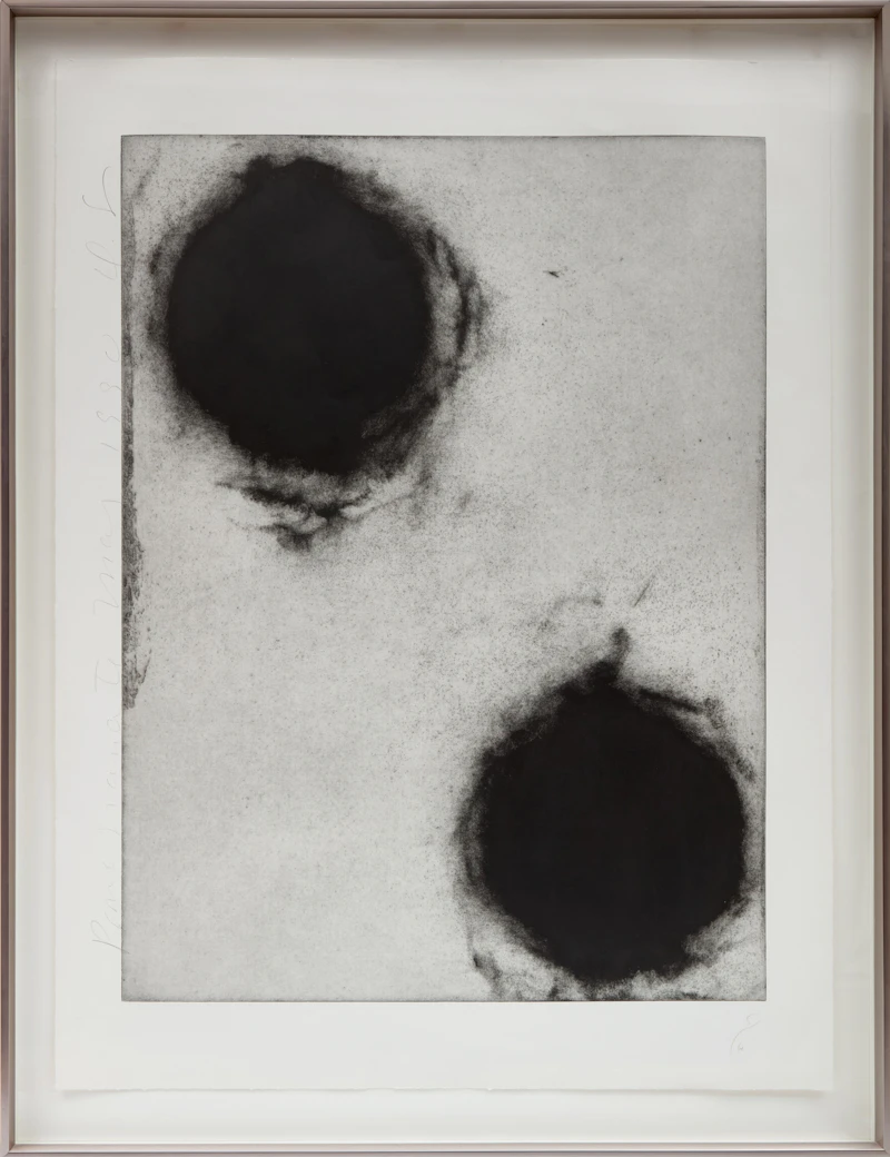 Donald Sultan, Pomegranates, three etchings with aquatint - view 5