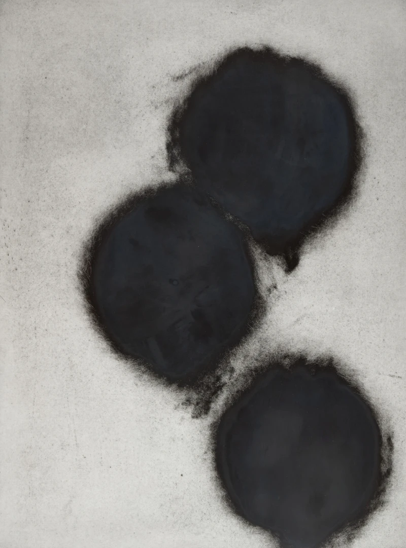 Donald Sultan, Pomegranates, three etchings with aquatint - view 7