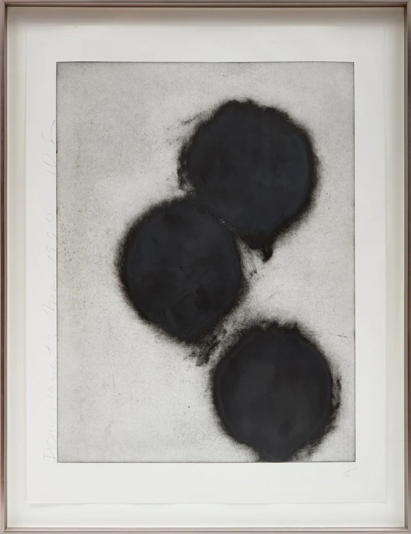 Donald Sultan, Pomegranates, three etchings with aquatint - view 8