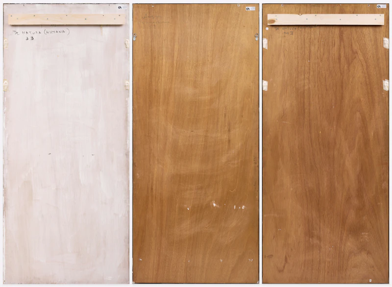 Peter Krausz, De Natura (Humana) No. I, II and 8, three fresco paintings on board, 1992 - view 8
