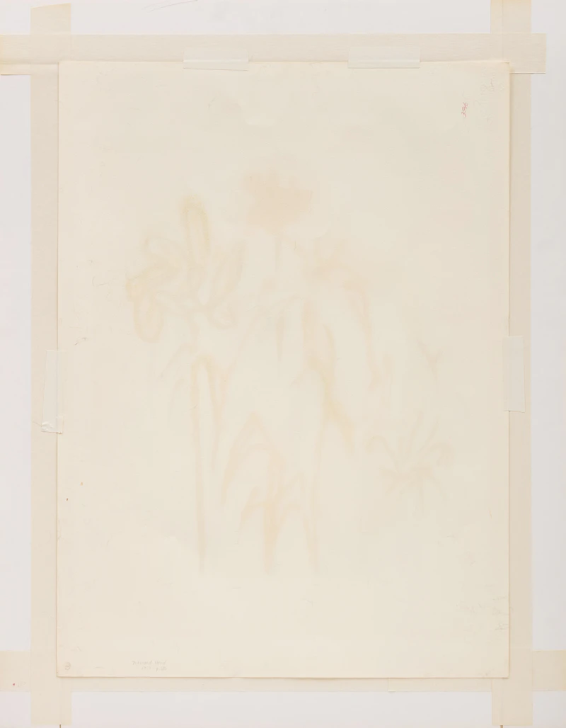 Salvador Dalí, Diamond Head (Field 80-3), colour lithograph - view 3