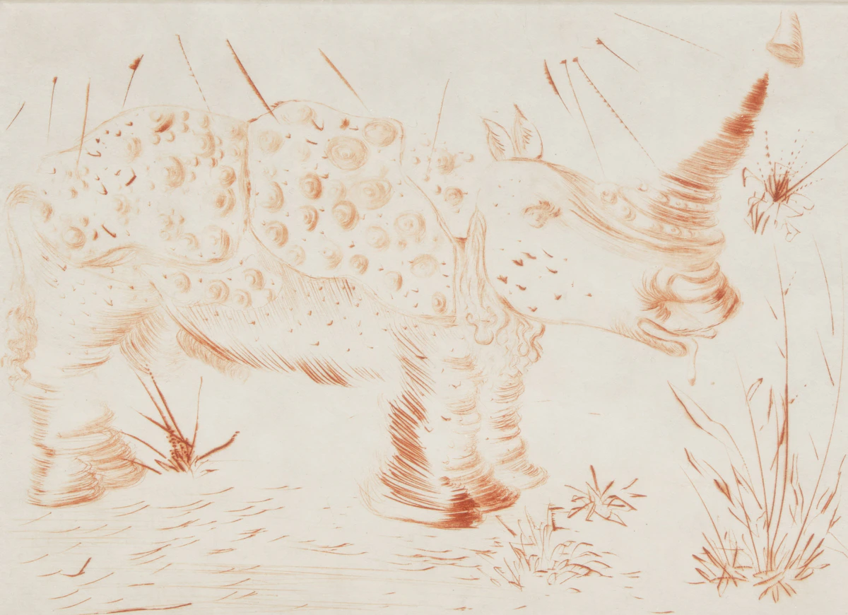 Salvador Dalí, Rhinoceros, colour etching