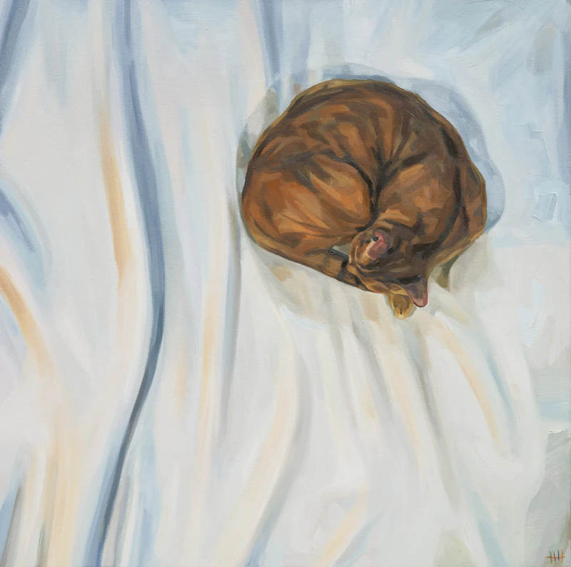 Sleeping Cat by Heather Horton