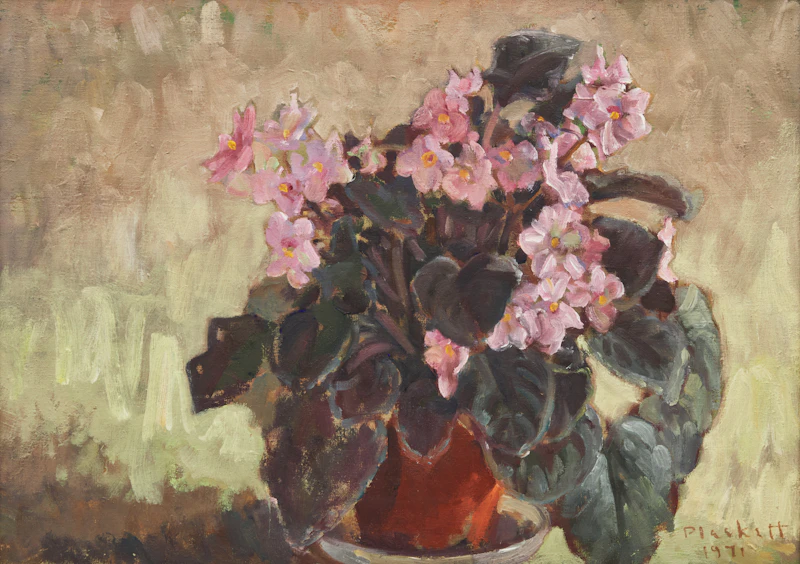 Joseph Francis Plaskett, African Violet, 1971, oil on canvas - view 1