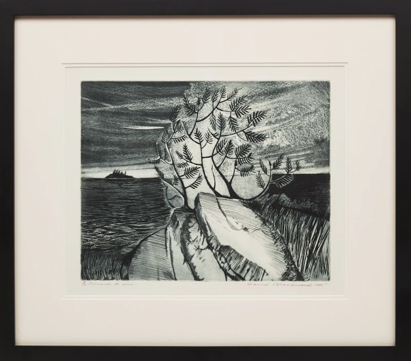 David Lloyd Blackwood, Towards the Open, etching and aquatint, 1965 - view 2