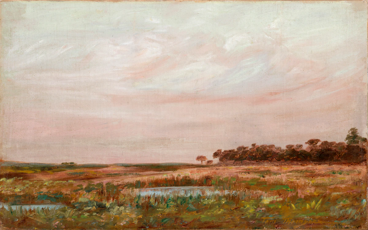 Tom Thomson, Marsh, Lake Scugog, oil on canvas, circa 1911