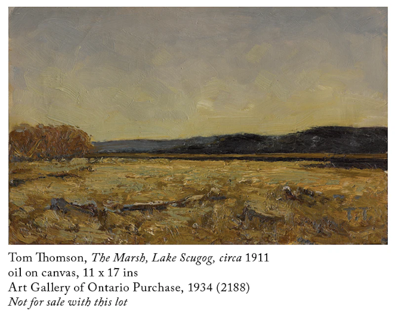 Tom Thomson, Marsh, Lake Scugog, oil on canvas, circa 1911 - view 6