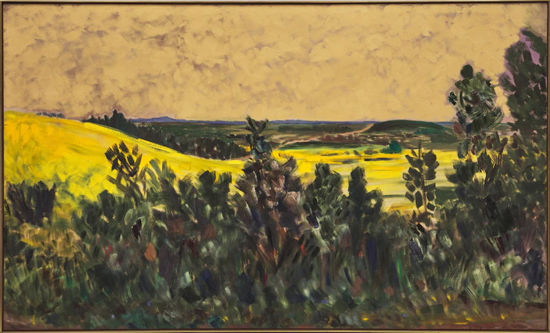 Gregory Hardy, Rapefield, oil on canvas, 1982 - view 2