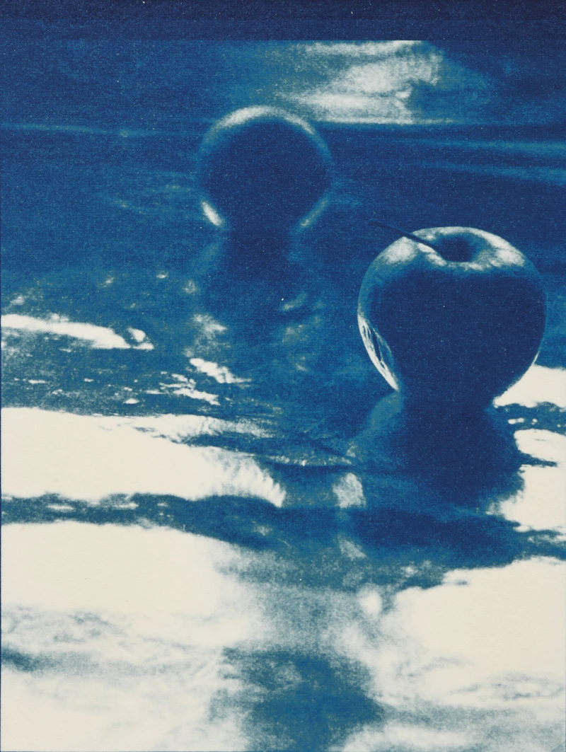 Carol Marino, Cyan #11, cyanotype, 1982 - view 1