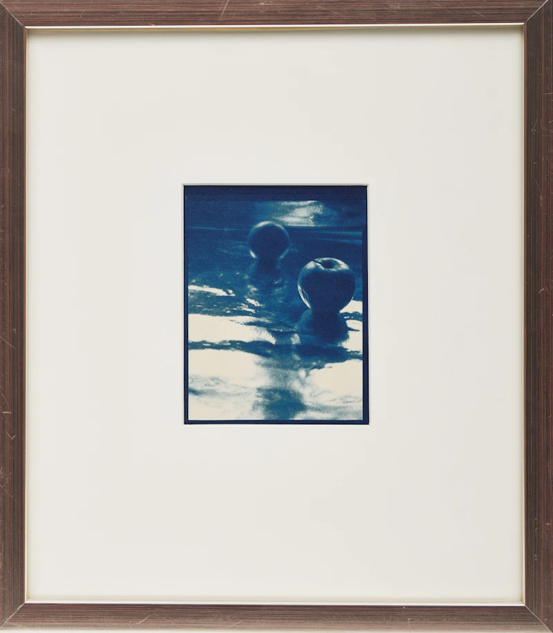 Carol Marino, Cyan #11, cyanotype, 1982 - view 2