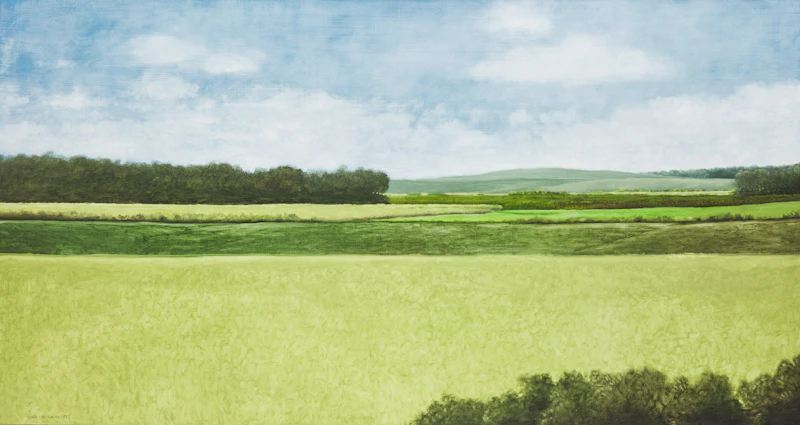 Robert Marchessault, Horizontal Landscape, oil on board, 1989 - view 1