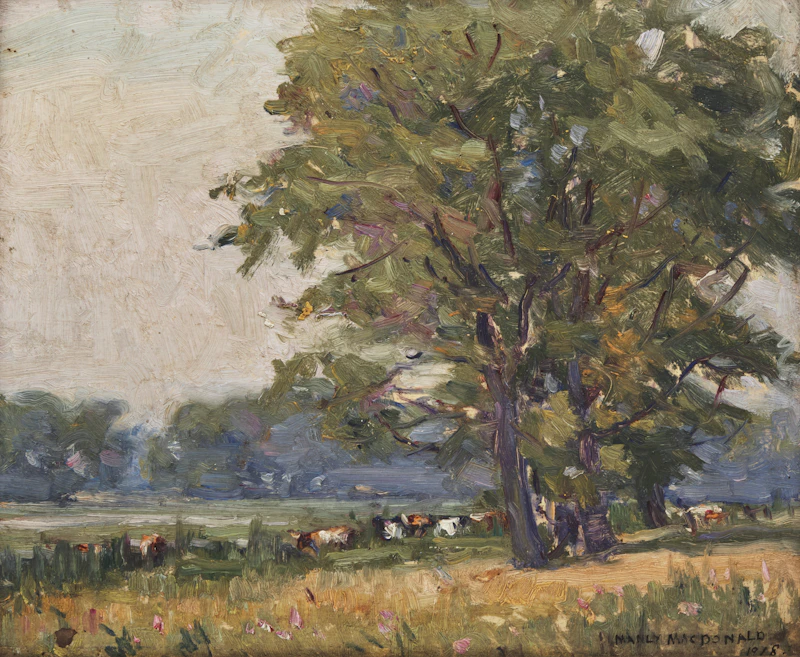 Manly Edward MacDonald, Cows Grazing, oil on board, 1918 - view 1