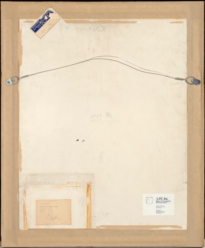 Jean (Hans) Arp, Amphore et ses ombres, collage on paper, 1964 - view 3