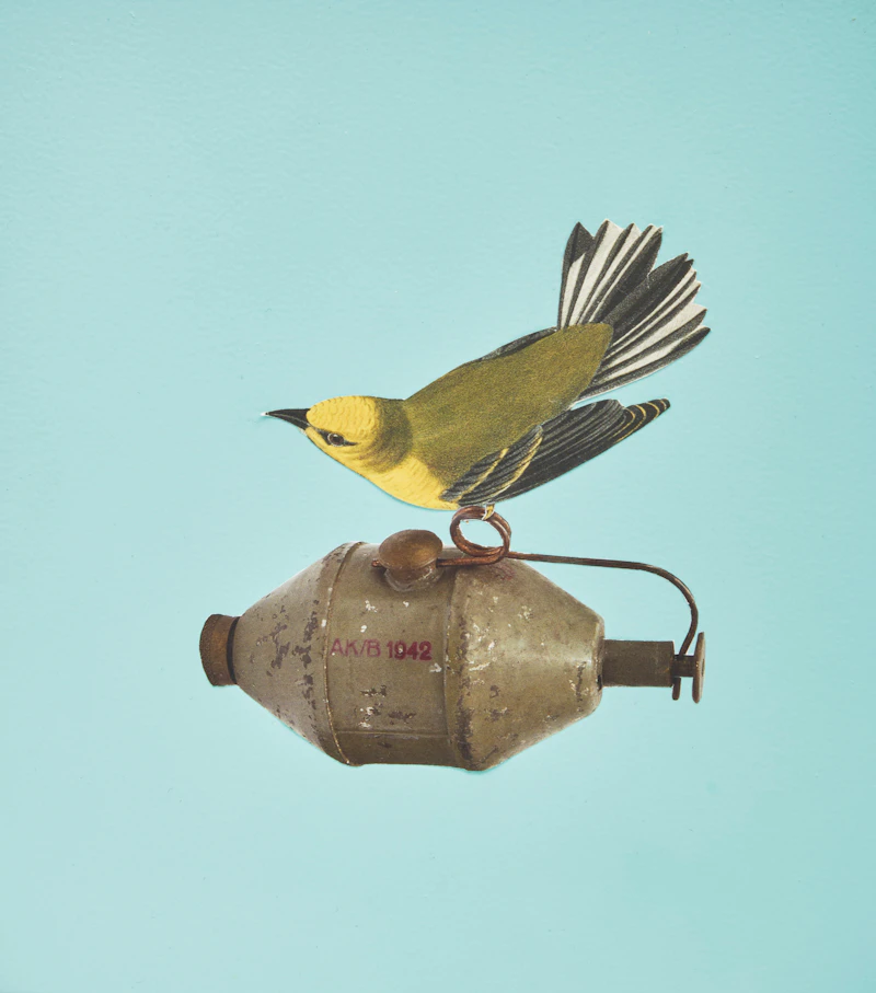 Anitra Hamilton, Cock Robin (1-3), three mixed media collage works on board, 2009 - view 1