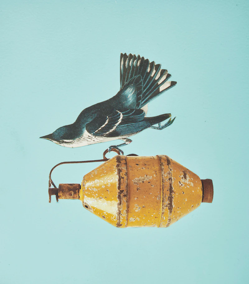Anitra Hamilton, Cock Robin (1-3), three mixed media collage works on board, 2009 - view 3
