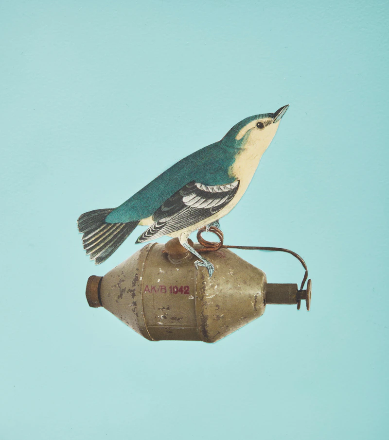 Anitra Hamilton, Cock Robin (1-3), three mixed media collage works on board, 2009 - view 5